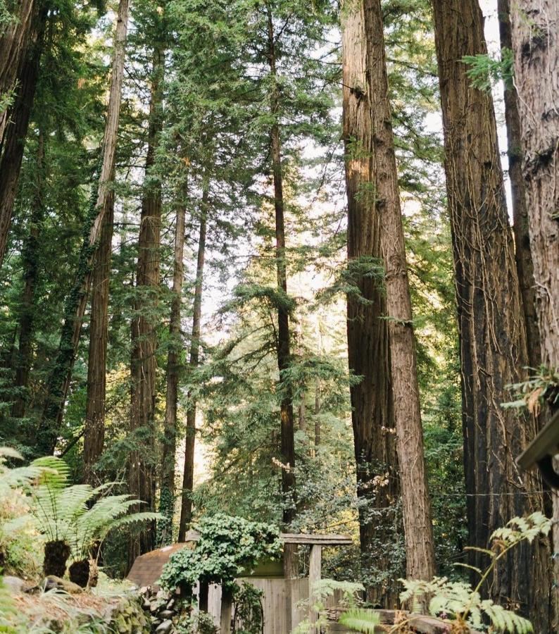 Sur Grove Big Sur Βίλα Εξωτερικό φωτογραφία